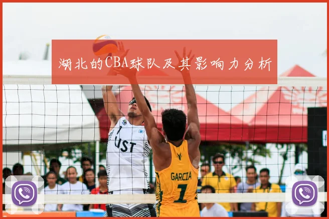 湖北的CBA球队及其影响力分析